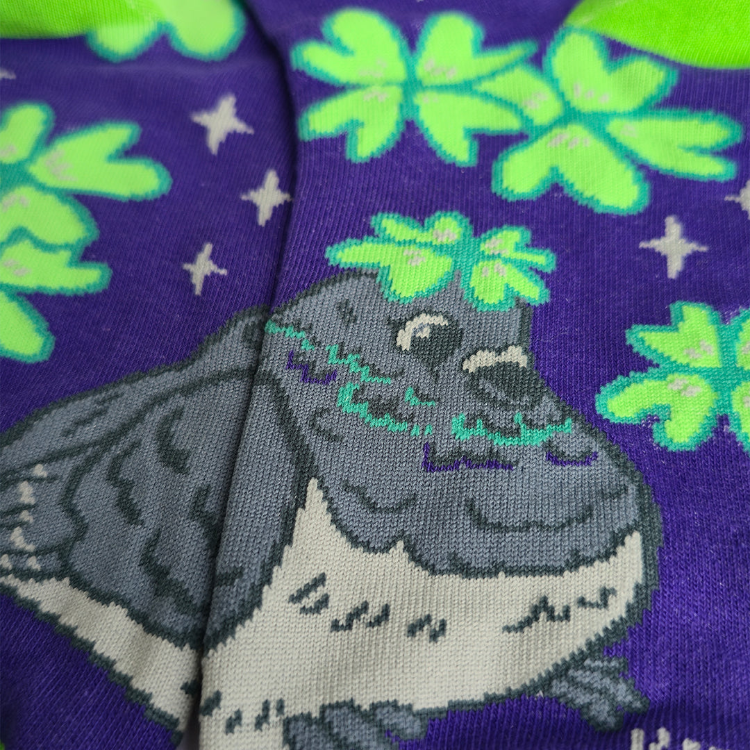 Lucky Pigeon - Art Socks