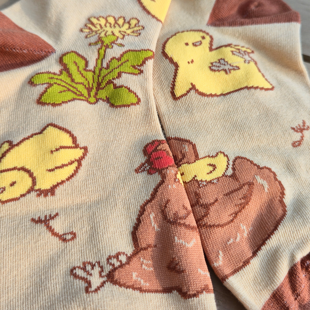 Chicken Coop - Art Socks